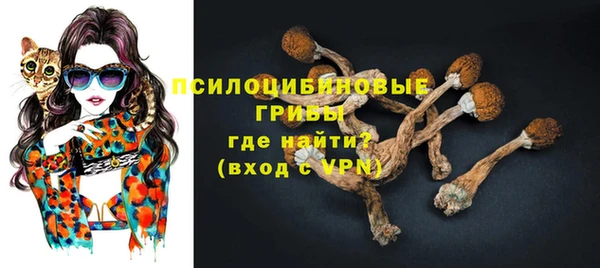 винт Богородицк