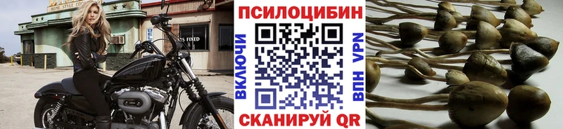 omg ТОР Нелидово Галлюциногенные грибы мухоморы